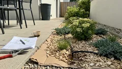 Pflegeleichter Garten: mit Lazy gardening 5 Stunden pro Woche sparen